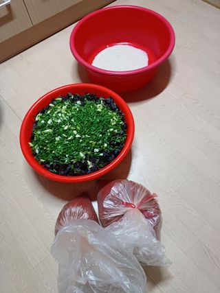 결단이님의 기타작물 · 영농일지 작성글 사진