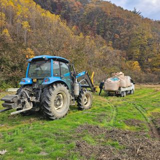 백용기님의 공짜로 가질 수 있다면 나의 선택은? · 참여글 작성글 사진