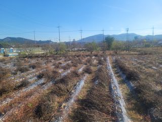 이재원님의 공짜로 가질 수 있다면 나의 선택은? · 참여글 작성글 사진