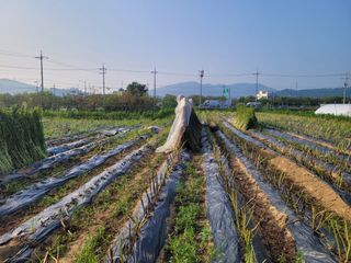 이재원님의 공짜로 가질 수 있다면 나의 선택은? · 참여글 작성글 사진