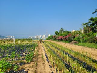 이재원님의 공짜로 가질 수 있다면 나의 선택은? · 참여글 작성글 사진