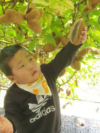 나효식님의 자유주제 · 자유게시판 작성글 사진