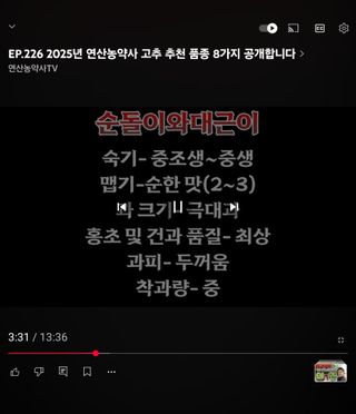스카이2님의 공짜로 가질 수 있다면 나의 선택은? · 참여글 작성글 사진