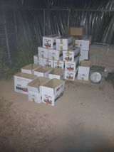 팜모닝 공짜로 가질 수 있다면 나의 선택은?·참여글 게시글 이미지