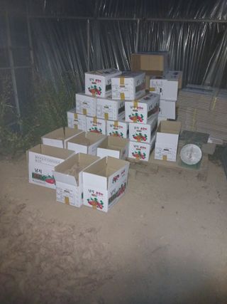 고구마22422님의 공짜로 가질 수 있다면 나의 선택은? · 참여글 작성글 사진