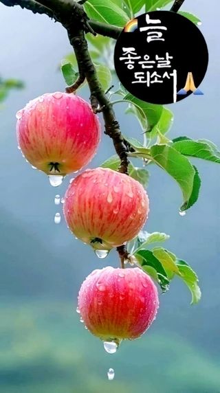 원영님의 공짜로 가질 수 있다면 나의 선택은? · 참여글 작성글 사진