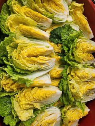 김광수님의 공짜로 가질 수 있다면 나의 선택은? · 참여글 작성글 사진