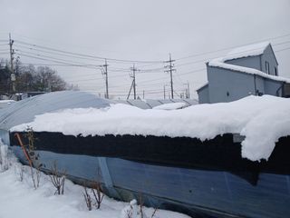 호박16023님의 자유주제 · 자유게시판 작성글 사진