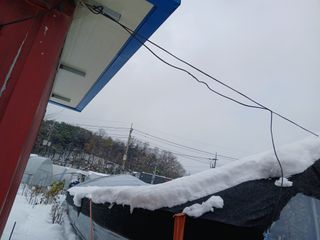 호박16023님의 자유주제 · 자유게시판 작성글 사진