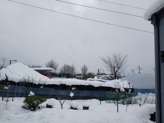 호박16023님의 자유주제 · 자유게시판 작성글 사진