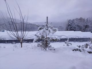 김선자님의 공짜로 가질 수 있다면 나의 선택은? · 참여글 작성글 사진