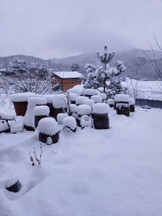 김선자님의 공짜로 가질 수 있다면 나의 선택은? · 참여글 작성글 사진