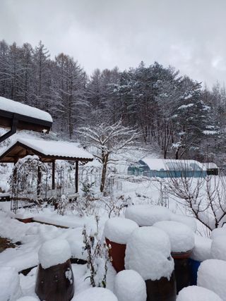 김선자님의 공짜로 가질 수 있다면 나의 선택은? · 참여글 작성글 사진