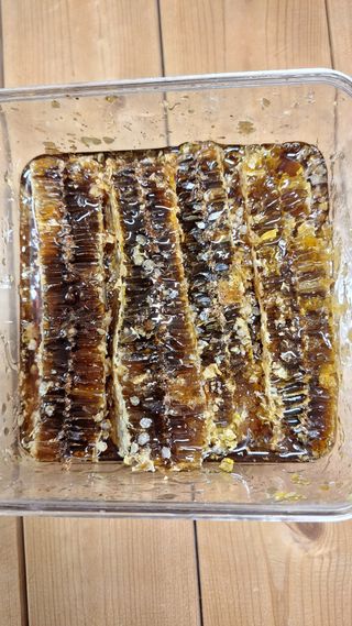 삼솔님의 자유주제 · 자유게시판 작성글 사진