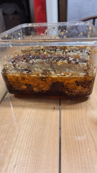 삼솔님의 자유주제 · 자유게시판 작성글 사진