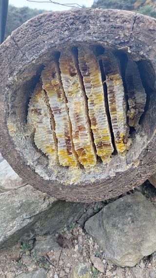 삼솔님의 자유주제 · 자유게시판 작성글 사진