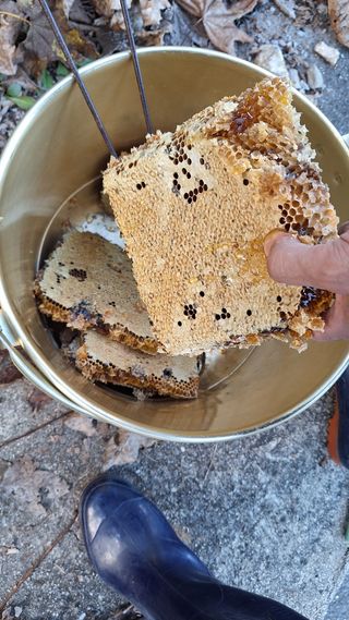 삼솔님의 자유주제 · 자유게시판 작성글 사진