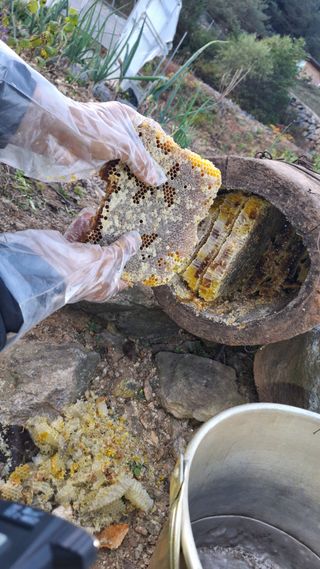삼솔님의 자유주제 · 자유게시판 작성글 사진