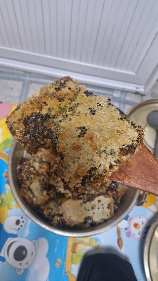 삼솔님의 자유주제 · 자유게시판 작성글 사진