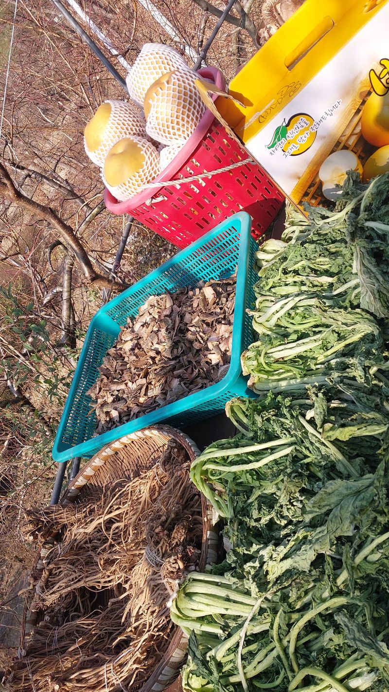 장터 상품 [약으로 먹는 약배,50봉] 썸네일