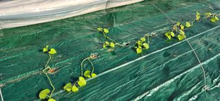 성주박상도님의 자유주제 · 자유게시판 작성글 사진