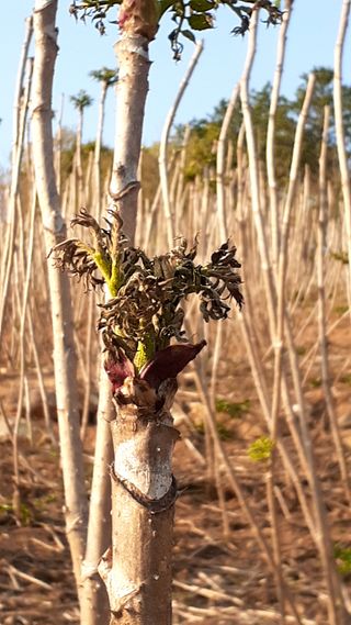 알 수 없음님의 자유주제 · 사진전 작성글 사진
