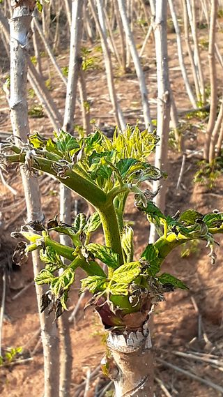 알 수 없음님의 자유주제 · 사진전 작성글 사진