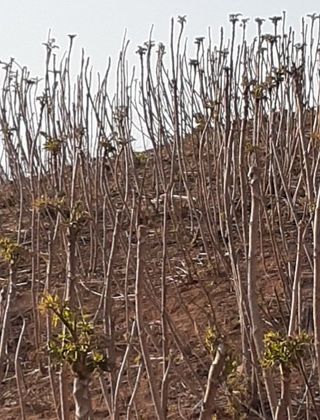 알 수 없음님의 자유주제 · 사진전 작성글 사진