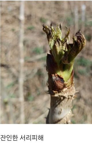 알 수 없음님의 자유주제 · 사진전 작성글 사진