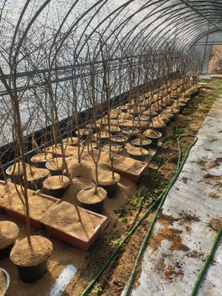 고추29286님의 공짜로 가질 수 있다면 나의 선택은? · 참여글 작성글 사진