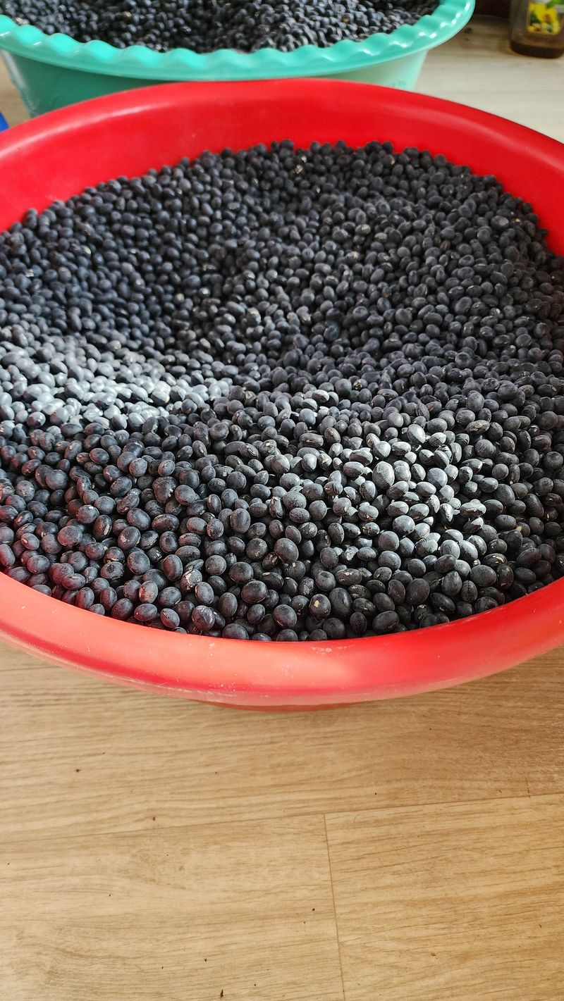 장터 상품 [서리태 1키로] 썸네일