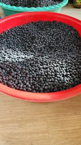 팜모닝 · 게시글 이미지