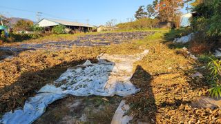 김우진님의 작성글 사진