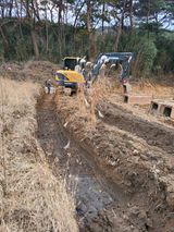 팜모닝 기타작물·영농일지 게시글 이미지