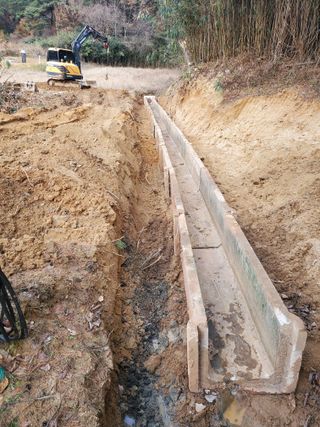 서정훈 님의 기타작물 · 영농일지 작성글 사진