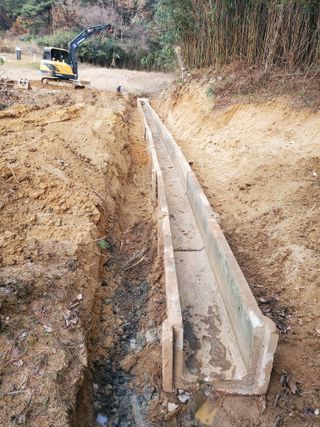 서정훈 님의 기타작물 · 영농일지 작성글 사진