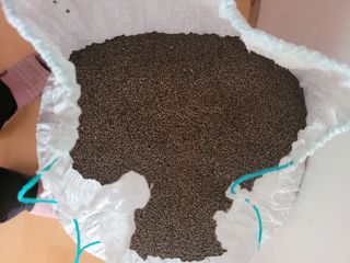 땅땅님의 작성글 사진