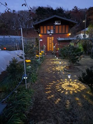 온시디움님의 자유주제 · 자유게시판 작성글 사진