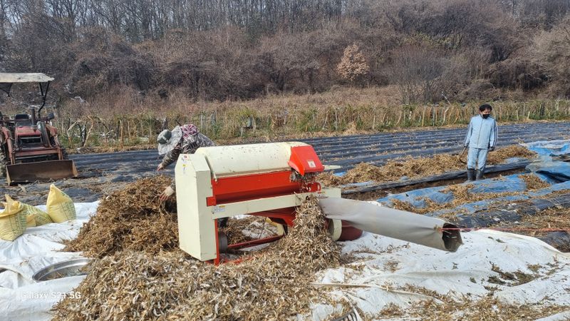 장터 상품 [장단콩 서리태7kg/말] 썸네일