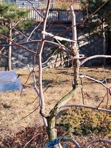 팜모닝 자유주제·자유게시판 게시글 이미지