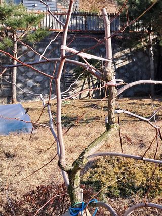 만월봉아지매님의 자유주제 · 자유게시판 작성글 사진