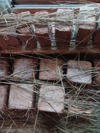 최광순님의 자유주제 · 사진전 작성글 사진