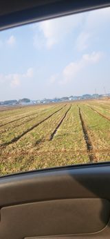 팜모닝 공짜로 가질 수 있다면 나의 선택은?·참여글 게시글 이미지