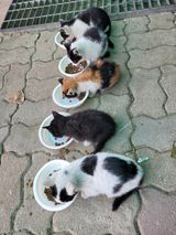 팜모닝 자유주제·자유게시판 게시글 이미지