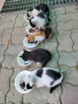 노구리님의 자유주제 · 자유게시판 작성글 사진