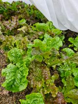 팜모닝 자유주제·자유게시판 게시글 이미지