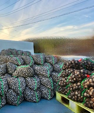 농부손녀님의 작성글 사진