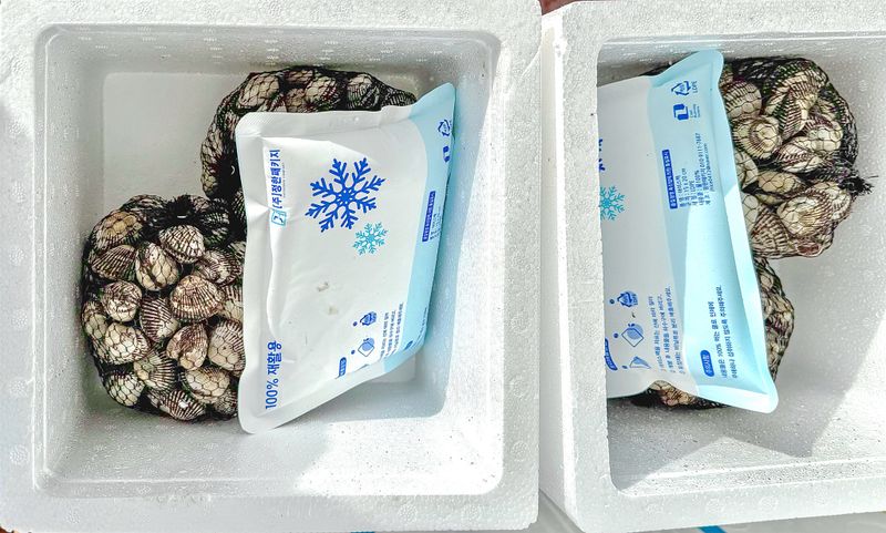 농부손녀님의 장터 판매 상품 [여수 제철 왕 새꼬막 1kg ] 첨부 사진