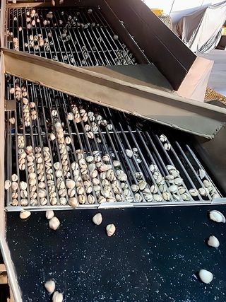 농부손녀님의 작성글 사진