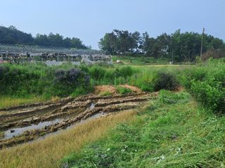 함평농부님의 공짜로 가질 수 있다면 나의 선택은? · 참여글 작성글 사진